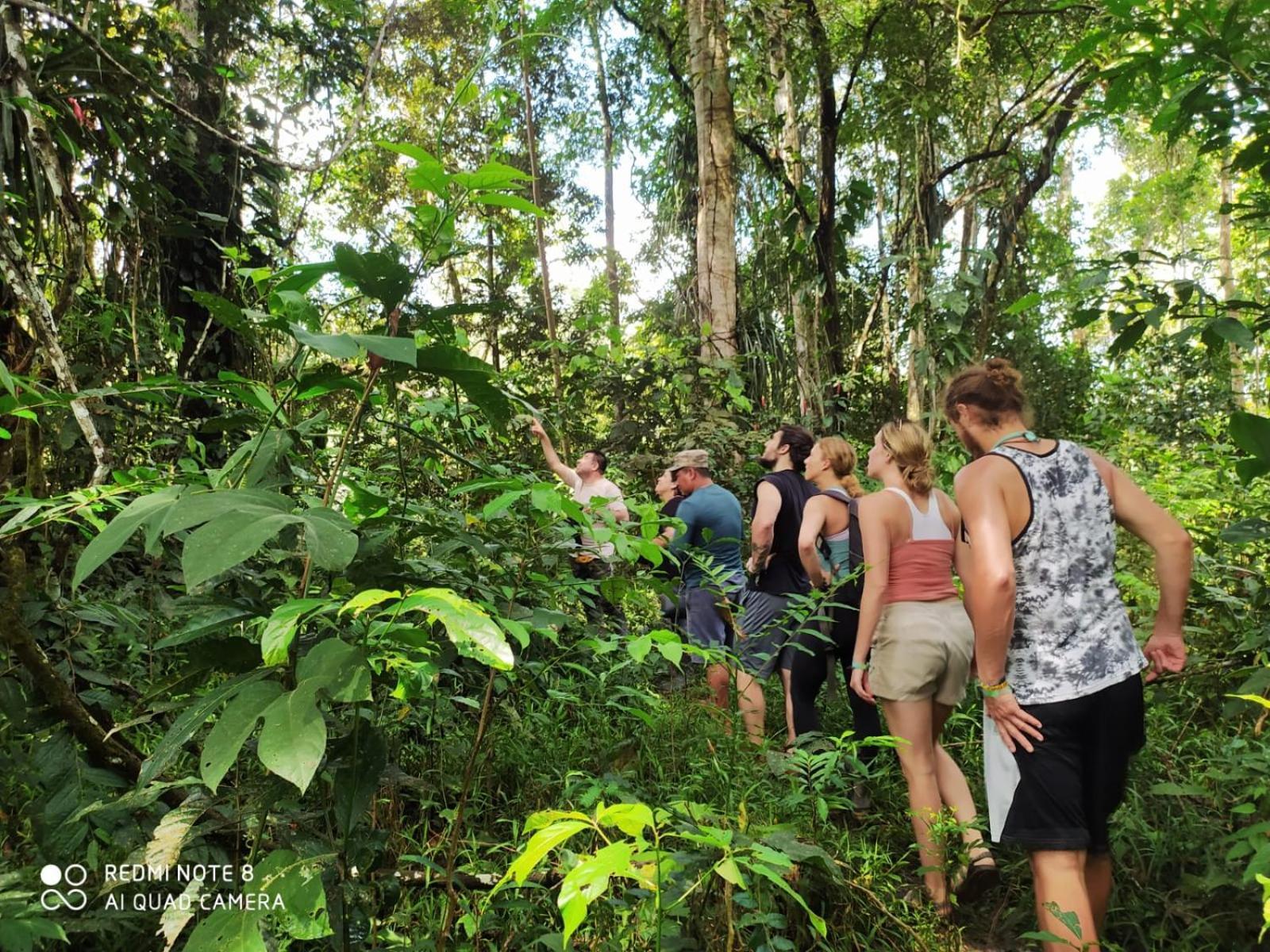 Jacamar Lodge Expeditions Икитос Экстерьер фото